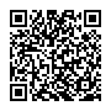 QR code for plate BNM 037