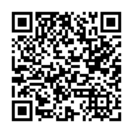 QR code for plate BNM 119