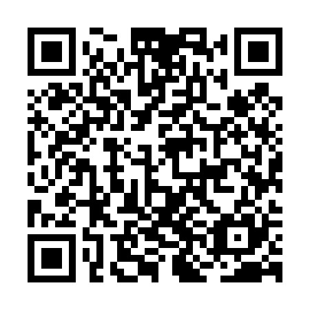 QR code for plate BNM 425