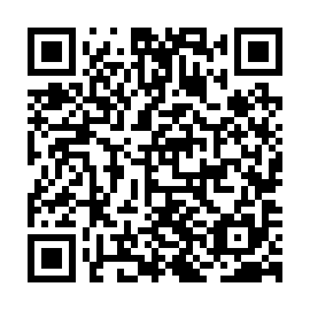 QR code for BNN295