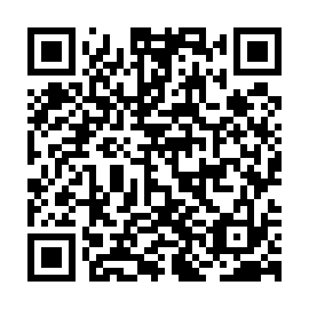 QR code for plate BNO 533