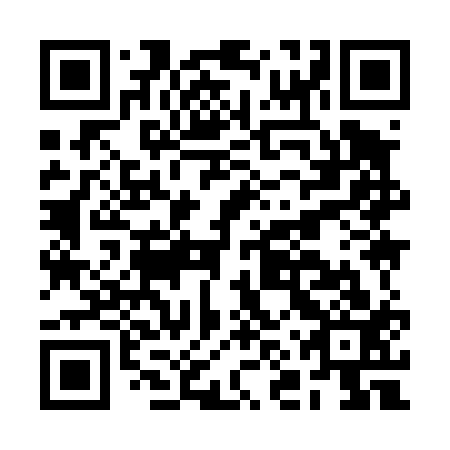 QR code for plate BNY 413