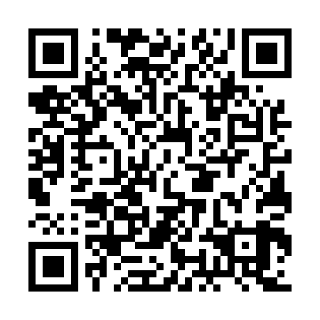 QR code for BOG509