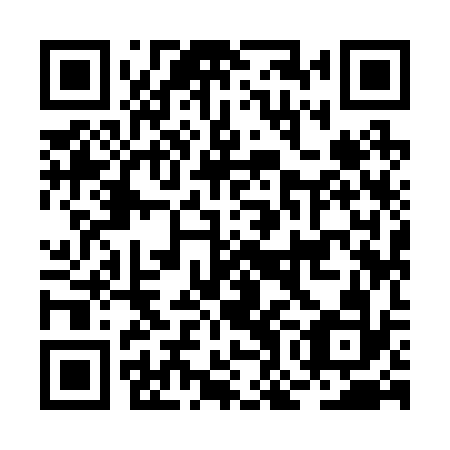 QR code for plate BOI 232