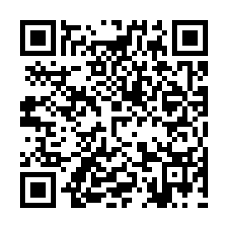 QR code for BOM333