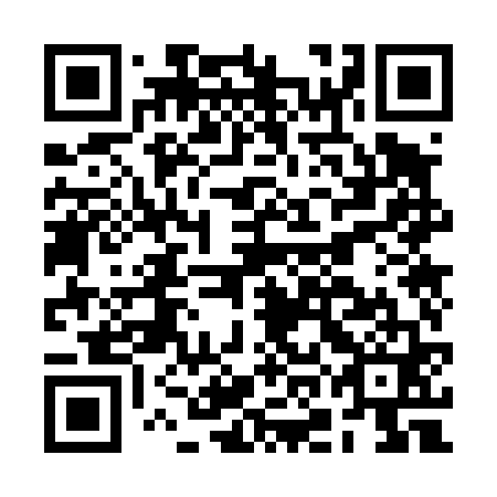 QR code for BOO 461