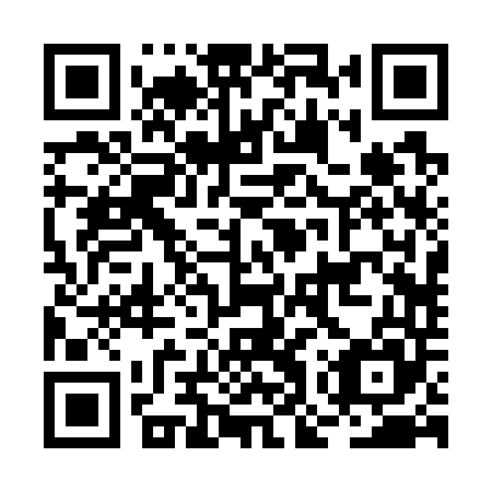 QR code for plate BOR 745