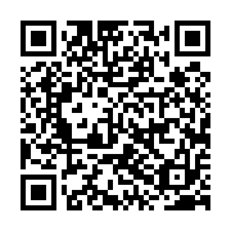 QR code for plate BPD 513