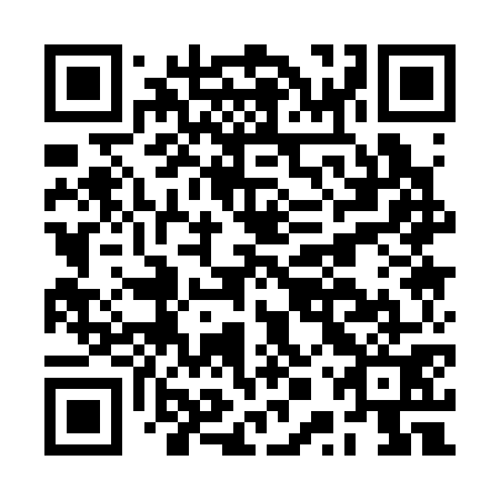 QR code for plate BPQ 371