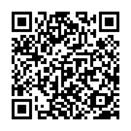 QR code for plate BQP 029