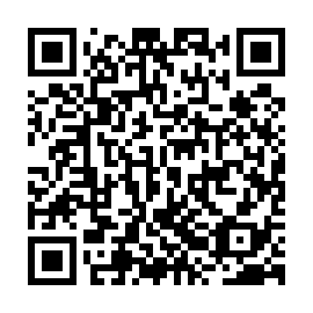 QR code for BRA 538
