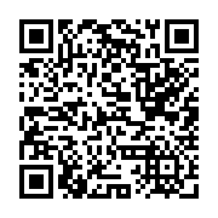 QR code for BRG 336