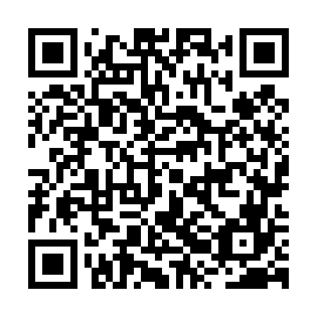 QR code for BRN 466