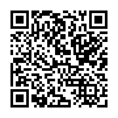 QR code for plate BRN 331