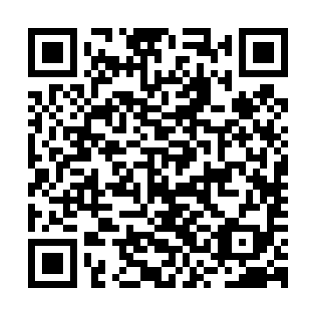 QR code for plate BSB 499