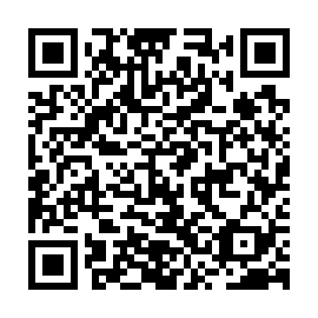 QR code for BSG729