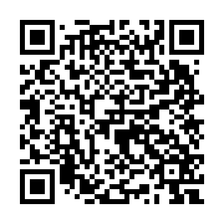 QR code for BSO666