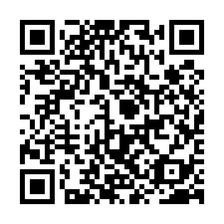 QR code for plate BSS 539