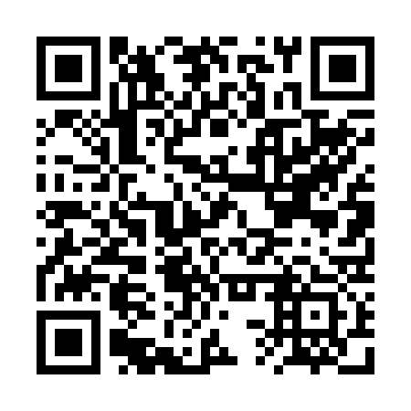 QR code for plate BST 233
