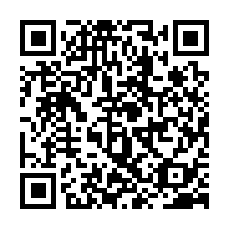 QR code for plate BSU 339