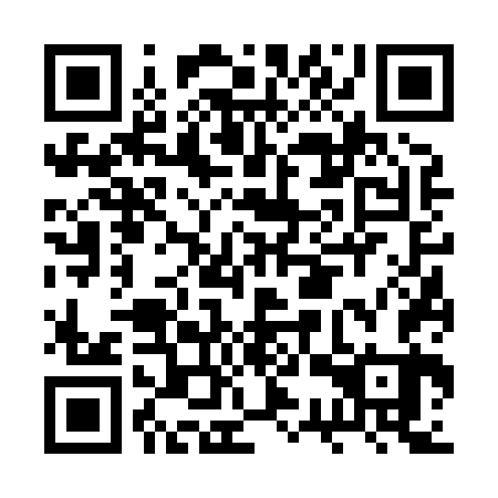 QR code for plate BSV 863
