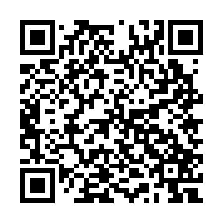 QR code for plate BTE 307