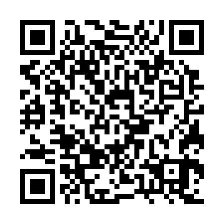 QR code for BUG 363