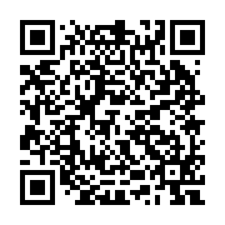 QR code for BUQ 295