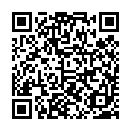 QR code for BUR 493