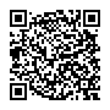 QR code for plate BVB 011