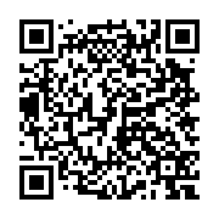 QR code for plate BVE 036
