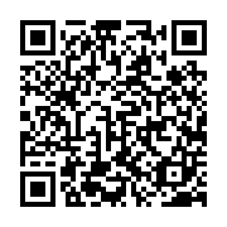 QR code for plate BVT 203