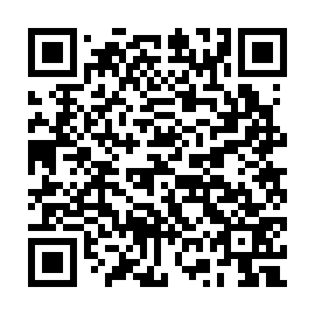 QR code for plate BWR 373