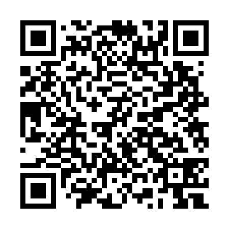 QR code for plate BWR 738