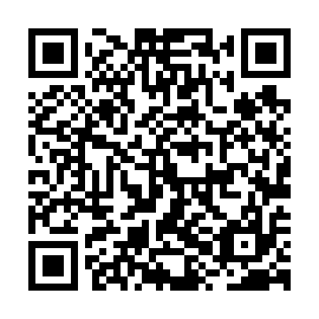 QR code for plate BXL 617