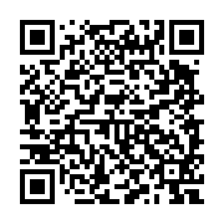 QR code for BYD 492