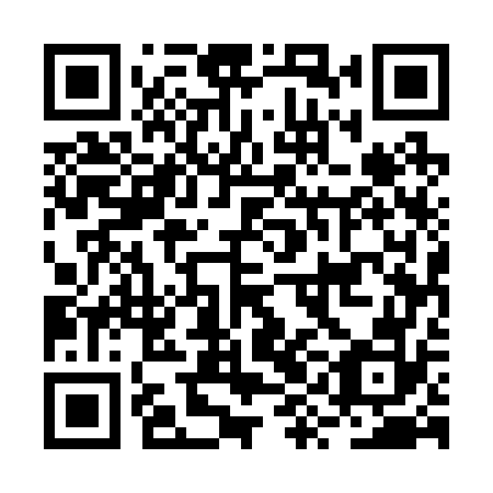 QR code for plate BYE 272