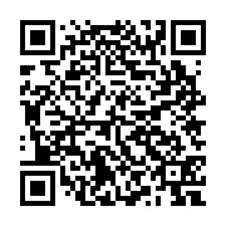 QR code for plate BYE 331