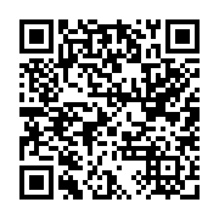 QR code for BYG 382