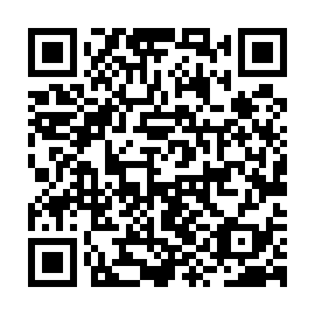 QR code for plate BYL 539