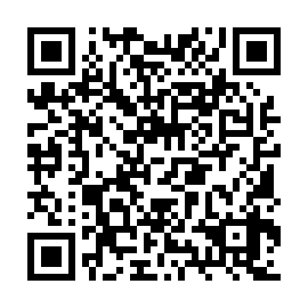 QR code for plate BYM 038