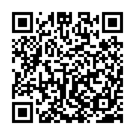 QR code for BZA 217