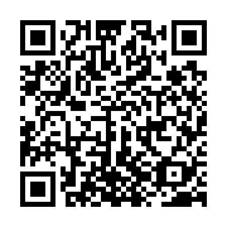 QR code for BZG729