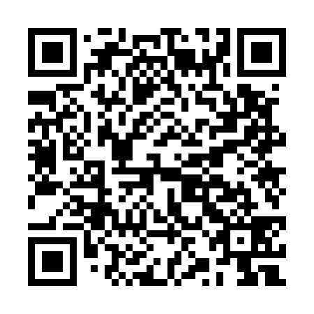 QR code for BZO539