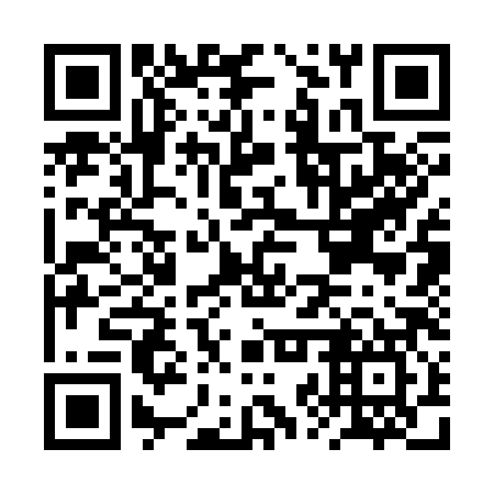 QR code for plate BZS 387