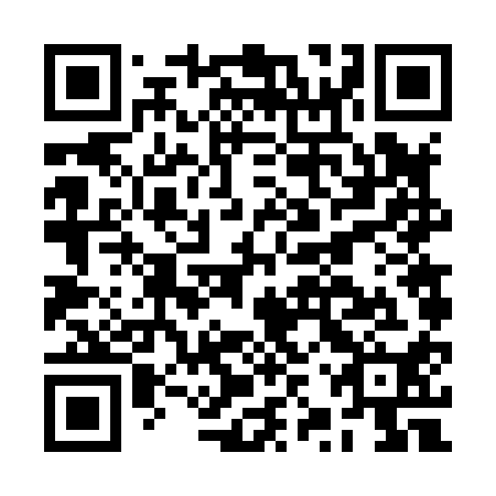 QR code for plate BZV 810