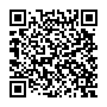 QR code for plate BZW 007