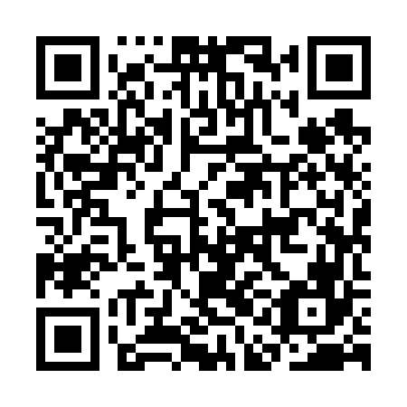 QR code for CAI 666