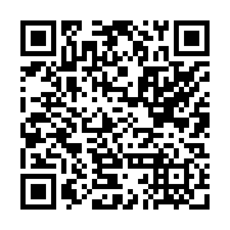 QR code for plate CBN 838