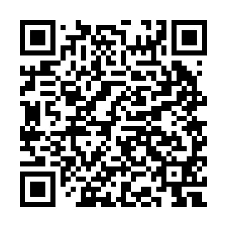 QR code for CCG 290
